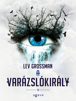 cover image of A varázslókirály